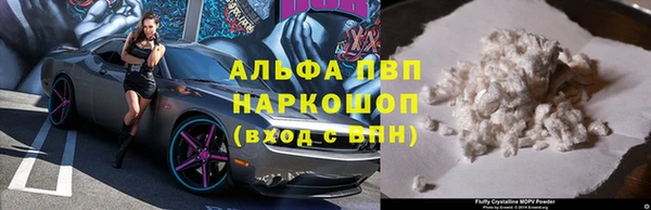 мяу мяу мука Ладушкин