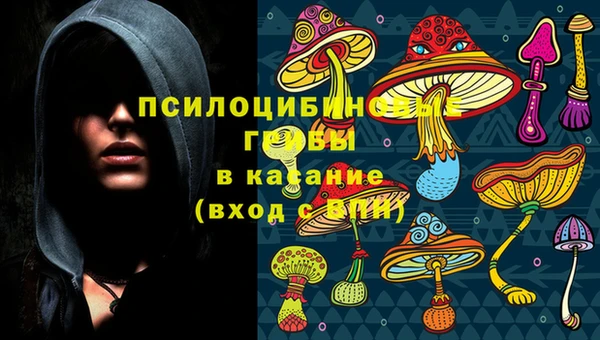 дмт Белоозёрский