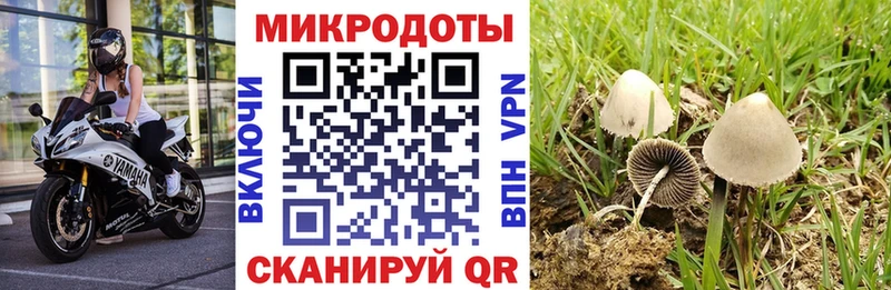 Галлюциногенные грибы GOLDEN TEACHER  Пойковский 